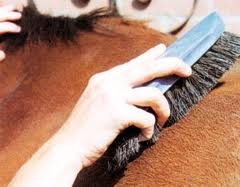 Общий уход, правила