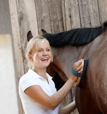 Чистка лошадей