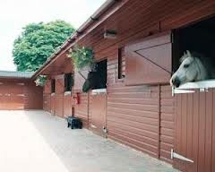 Строение конюшни 