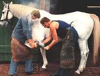 Как подковать лощадь? Как подковать лощадь?