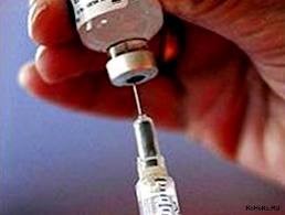 Осмотр у ветеринара 