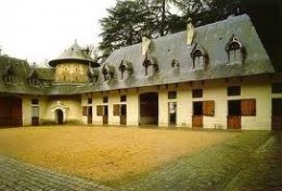 Езда в манеже – одеваем уздечку 