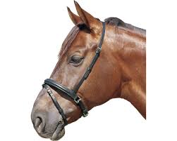 Капсуль для лошади